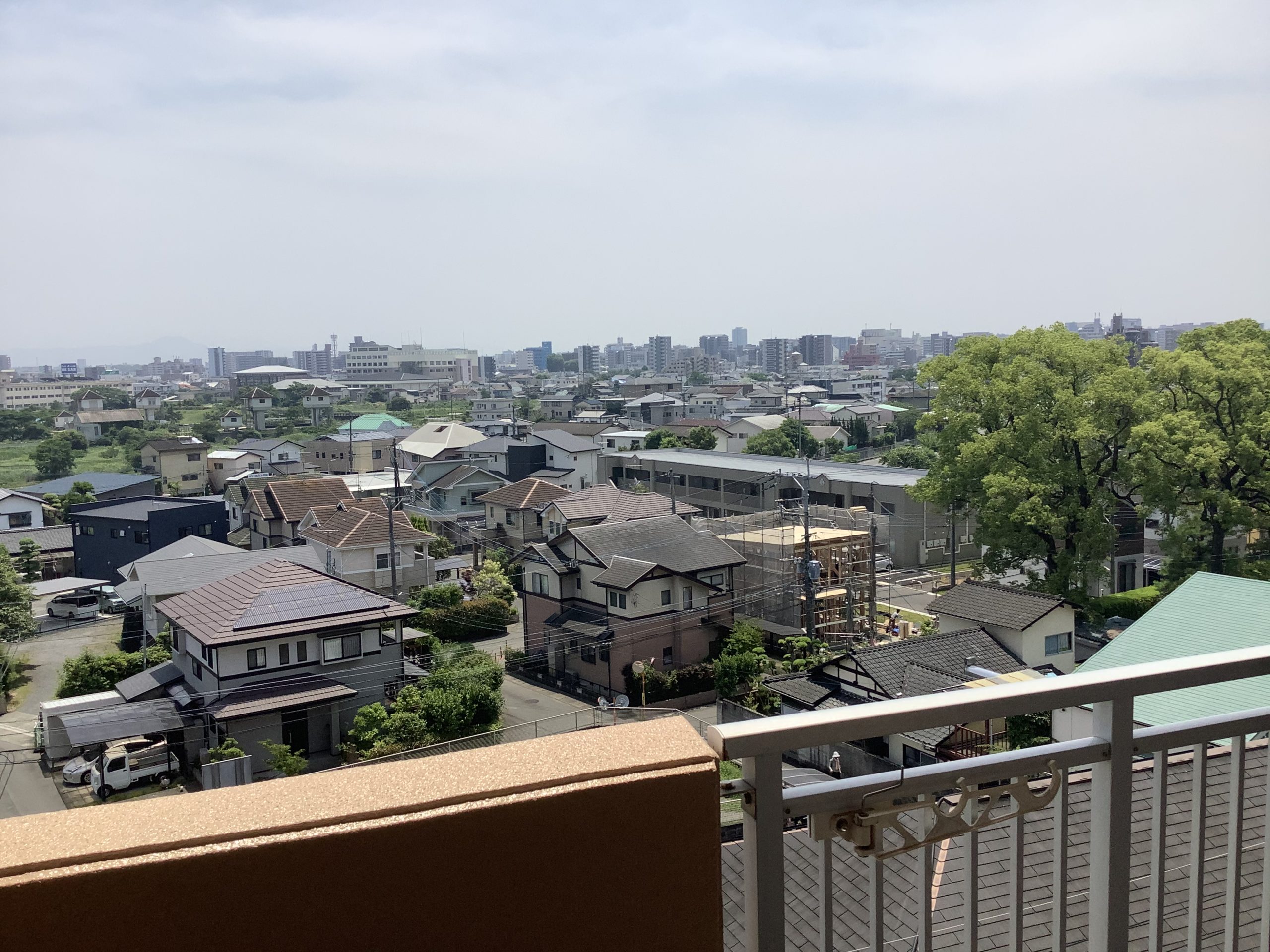 梅雨チャンス